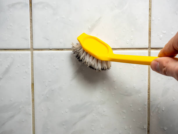 Best Toxic Mold Removal  in Wollochet, WA
