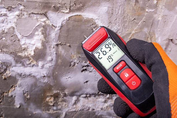 Best Mold Removal Company Near Me  in Wollochet, WA