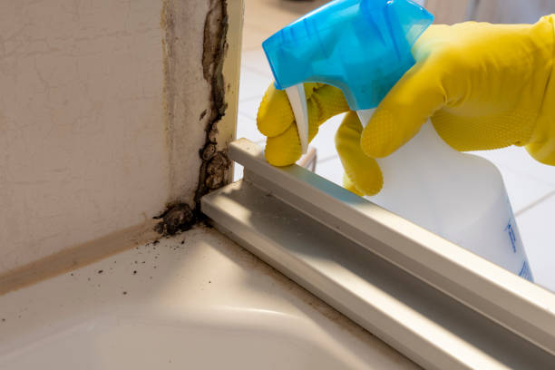 Best Mold Testing  in Wollochet, WA